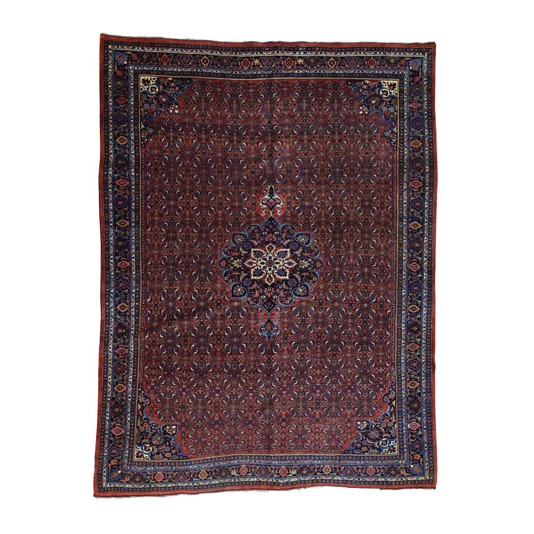Casual Wool Hand-Knotted Area Rug 10'5